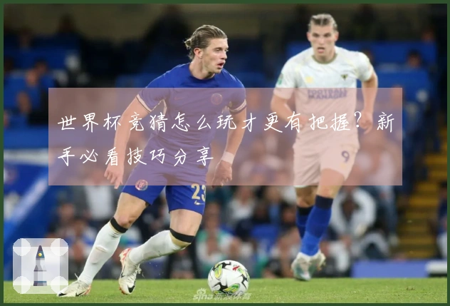 世界杯竞猜怎么玩才更有把握？新手必看技巧分享