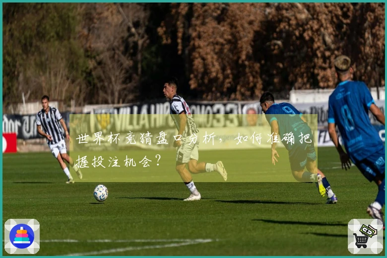 世界杯竞猜盘口分析，如何准确把握投注机会？