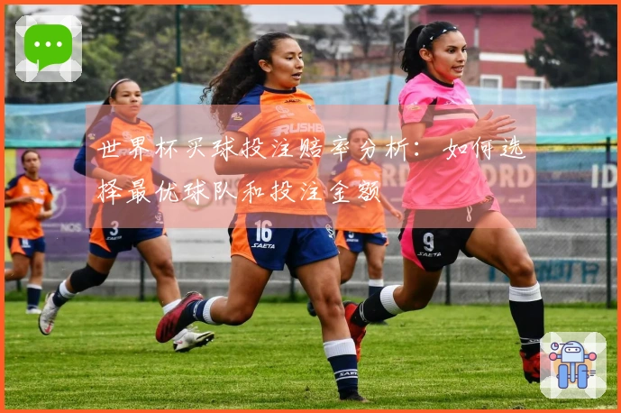 世界杯买球投注赔率分析：如何选择最优球队和投注金额