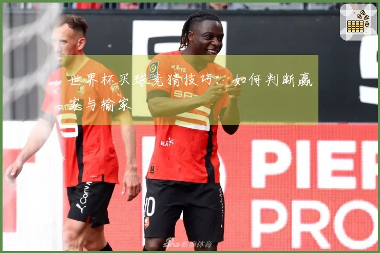世界杯买球竞猜技巧:如何判断赢家与输家