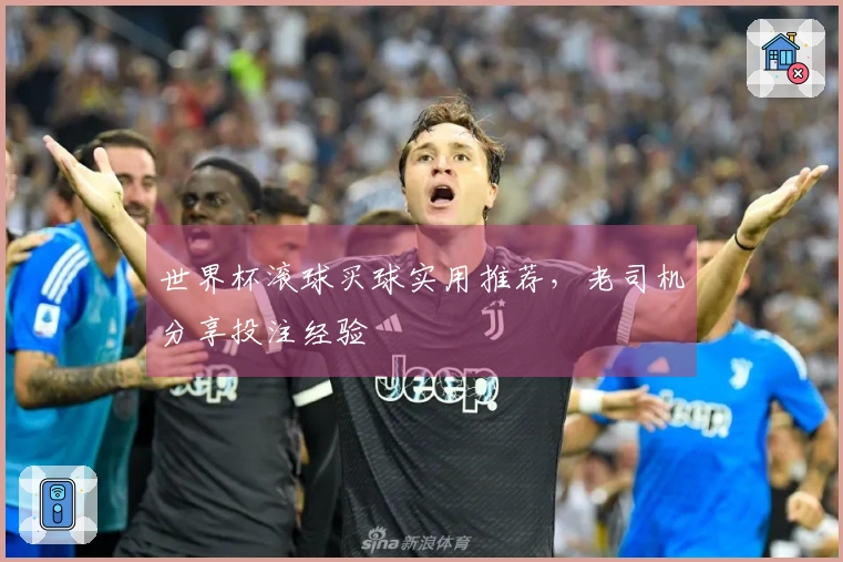 世界杯滚球买球实用推荐，老司机分享投注经验