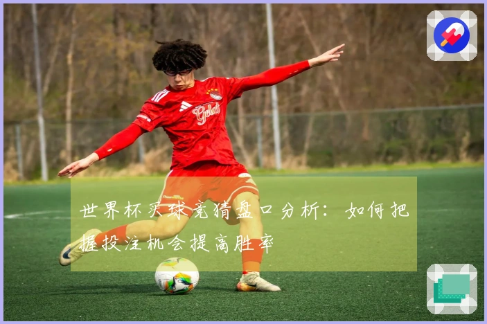 世界杯买球竞猜盘口分析：如何把握投注机会提高胜率