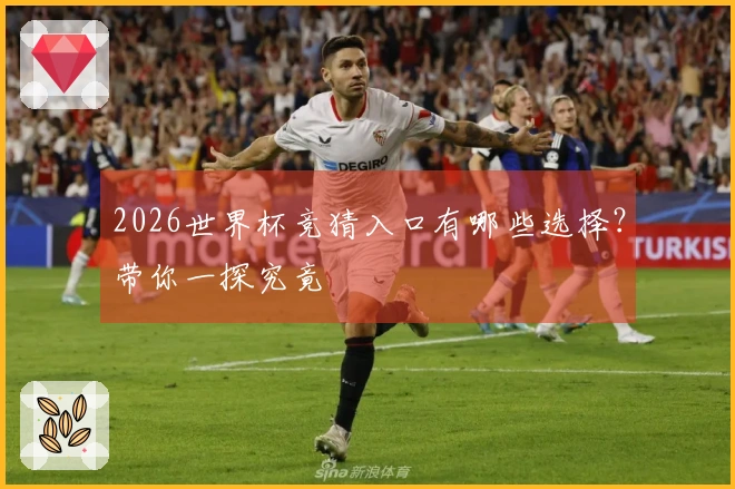 2026世界杯竞猜入口有哪些选择？带你一探究竟