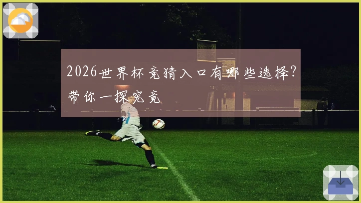 2026世界杯竞猜入口有哪些选择？带你一探究竟