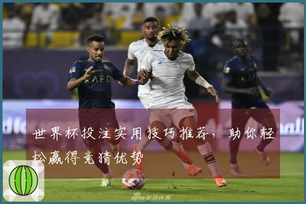 世界杯投注实用技巧推荐，助你轻松赢得竞猜优势
