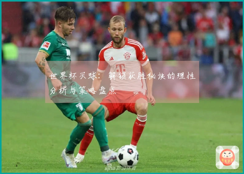 世界杯买球：解锁获胜秘诀的理性分析与策略盘点