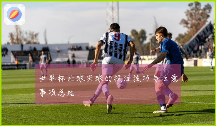 世界杯让球买球的投注技巧与注意事项总结