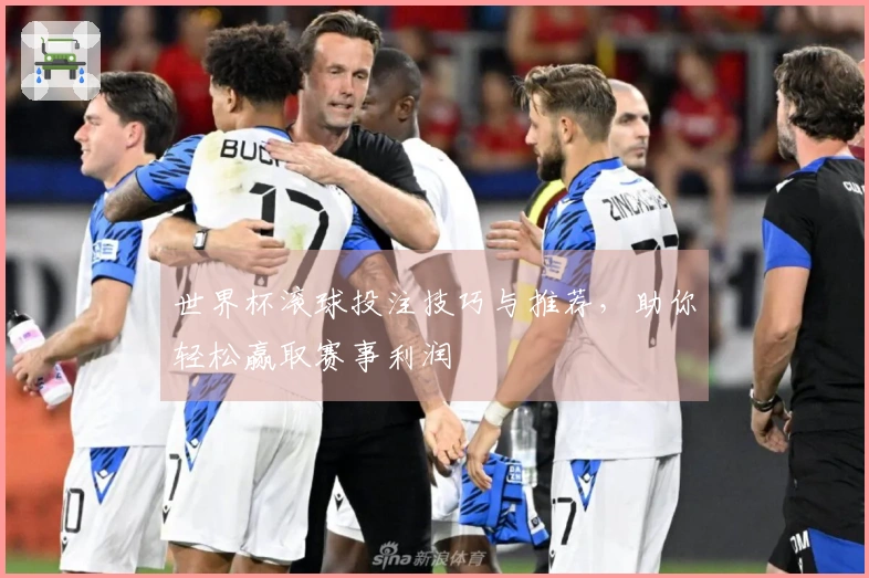 世界杯滚球投注技巧与推荐，助你轻松赢取赛事利润