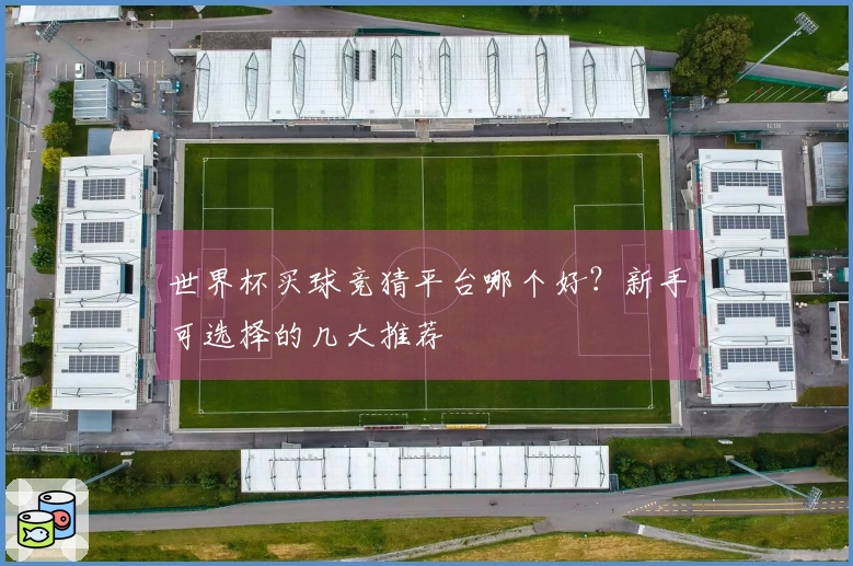 世界杯买球竞猜平台哪个好？新手可选择的几大推荐