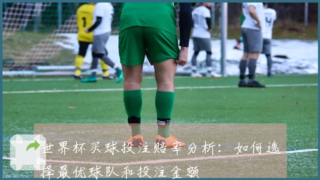 世界杯买球投注赔率分析：如何选择最优球队和投注金额