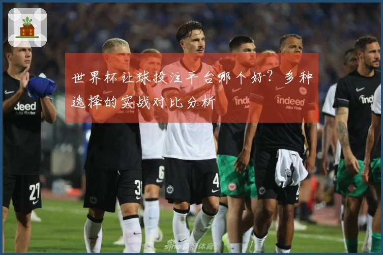世界杯让球投注平台哪个好？多种选择的实战对比分析