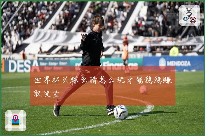 世界杯买球竞猜怎么玩才能稳稳赚取奖金